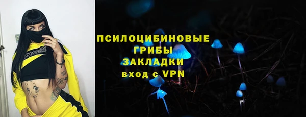 ALPHA PVP Верея