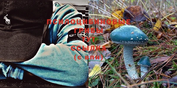 МДПВ Волоколамск