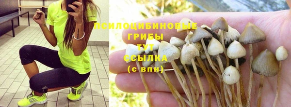 не бодяженный Володарск