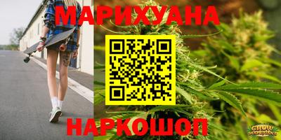 спайс Кингисепп