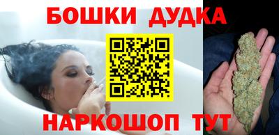 спайс Кингисепп