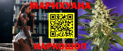 спайс Кингисепп