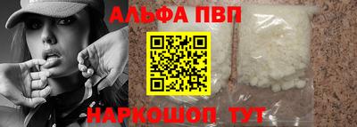 спайс Кингисепп