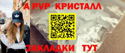 спайс Кингисепп