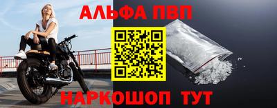спайс Кингисепп