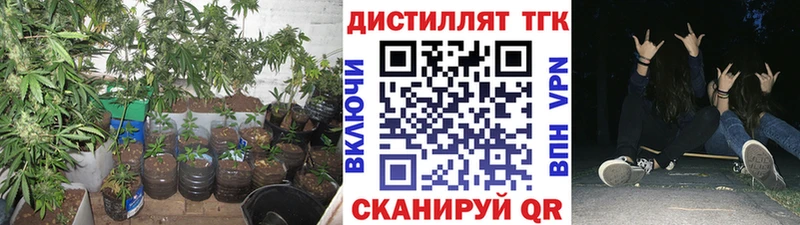 Дистиллят ТГК THC oil  кракен   Славянск-на-Кубани 